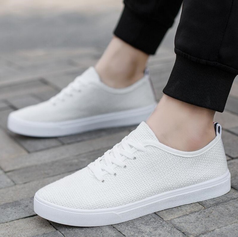 CanvasBreathable Mesh Men Shoe - đánh giá và giá Men Shoes Zegna